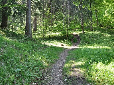 ...an dessen Ende ein Pfad weiter führt.