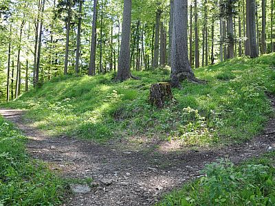 Hier halten wir uns rechts