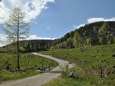 ...erreichen im Osten bald die Fahrstraße,...