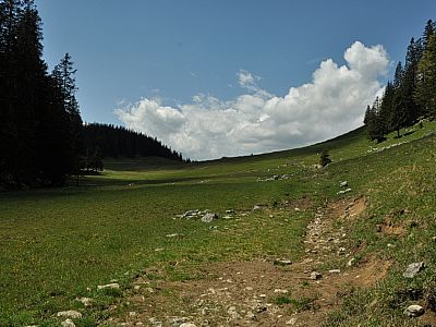 Über Almwiesen erreichen wir ...