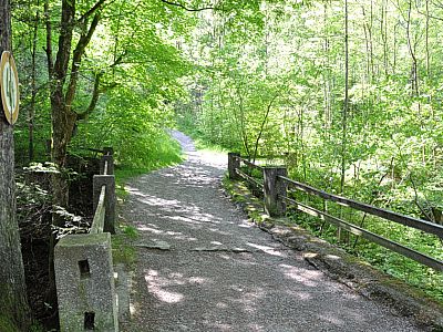 ... auf einer komfortablen Brücke