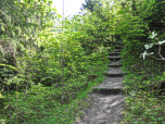 Die Stufen durch den Wald bergauf