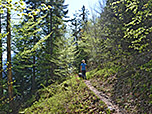 Weiter geht es über den Waldpfad...