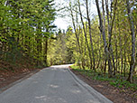...durch schattigen Wald zurück zum Ausgangspunkt