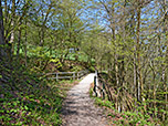 Dieser leitet uns durch lichten Wald...
