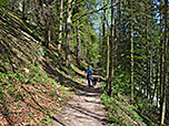 Es folgt ein weiteres Waldstück...