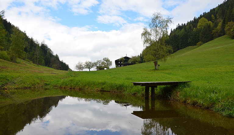 Juffinger Jöchl (1181 m)