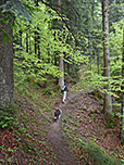 ...und wandern anschließend über einen steilen Pfad durch dichten Wald...
