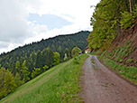 Von der Kapelle wandern wir über einen Forstweg weiter zu einem Hof
