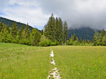Der Teerweg geht nach wenigen Minuten in einen Wiesenpfad über