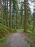 ...und steigen dann über einen Waldweg hinunter ins Tal