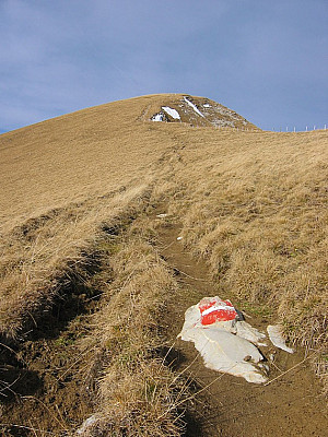 ...über den Grasrücken