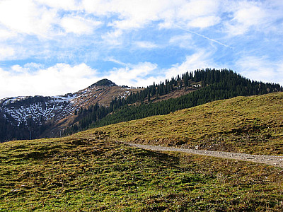 Unterwegs zur Falkenmoosalm