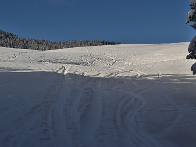 Die freien Flächen vor der Falkenmoosalm