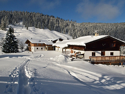 Die Gebäude der Falkenmoosalm