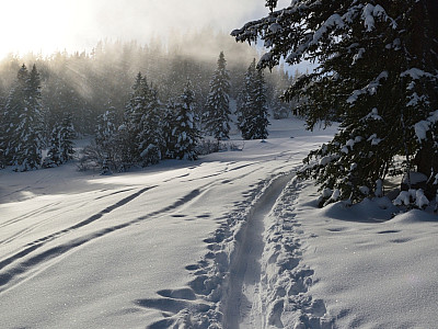 Eine Wolke hat sich auch zu uns verirrt
