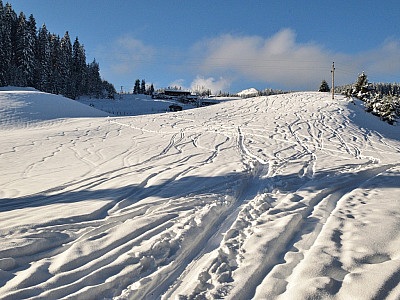 Über freie Flächen geht es ein Stück den Hang hinauf