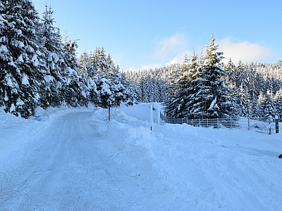 Kurz geht es an der Straße entlang, ...