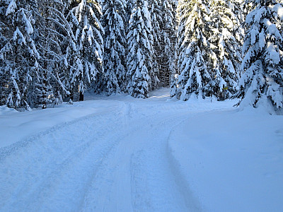 Hier biegen wir im Aufstieg rechts ab