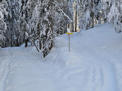 An einem Abzweig halten wir uns rechts