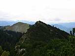 Spitzkamp