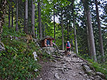 ...und wir gelangen über einen Waldweg...