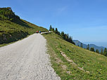 Den kurzen Anstieg zur Steinlingalm legen wir über einen Fahrweg zurück