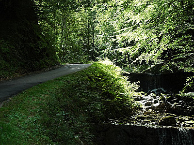 Die breite Forststraße...