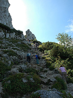 Der Weg wird steiler...