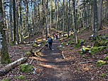 ...folgen wir weiter dem Waldweg Richtung Wildbichlalm