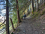 Wir wandern durch den Wald bergauf...