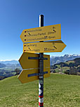 Dann stoßen wir auf einen Querweg...