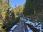 ...durchwandern wir ein Waldstück