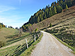 Wir wandern ein kurzes Stück über den breiten Forstweg nordostwärts