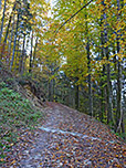 Wir wandern einen steilen Forstweg hinauf...