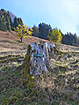 Ein Stück weiter oben treffen wir auf einen Wegweiser