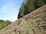 Der Wiesenweg quert den steilen Grashang der Karspitze
