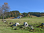 Es heißt Abschied nehmen von der Wildbichler Alm