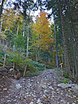 Nach einer Verzweigung führt uns der breite Weg steil in den Bergwald hinein...