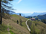 Zu guter Letzt lassen wir den Bergwald hinter uns...