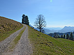 Der Rückweg nach Feistenau leitet uns zuerst bergauf