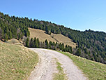 ...folgen wir dem Karrenweg südostwärts