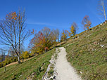 ...biegen wir links in den Fußweg zum Wandberg ein