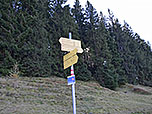 Zurück am Fahrweg