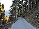 ...und folgen dem Fahrweg weiter geradeaus