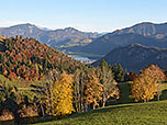 ...und hinunter zum Walchsee