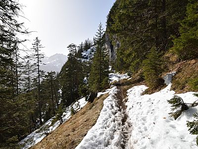 Wir queren über den ehemaligen Reitweg zum nächsten Steig