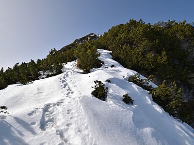 Nach Westen steigen wir durch die Latschen weiter auf