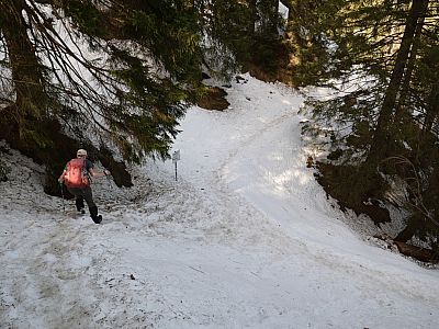 Links der Weg zum Königsstand, wir biegen rechts ab