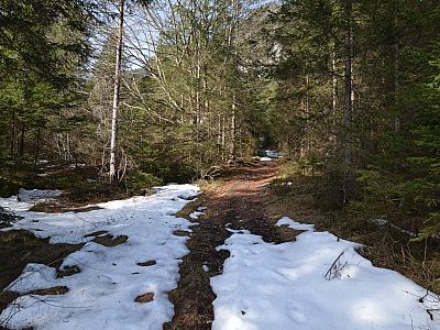 ...und steigen durch den nahen Wald nach Norden auf.
